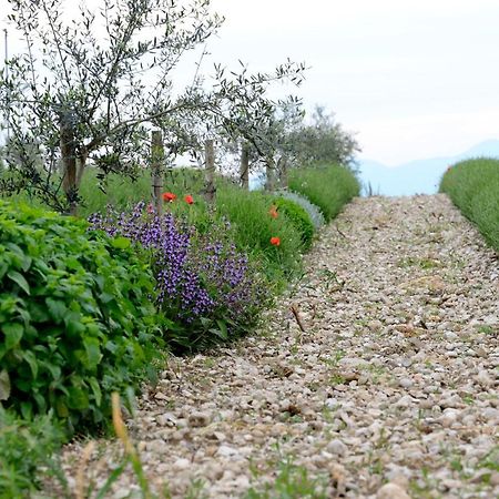 Agriturismo2Laghi ปอนติ ซุล มินโช ภายนอก รูปภาพ