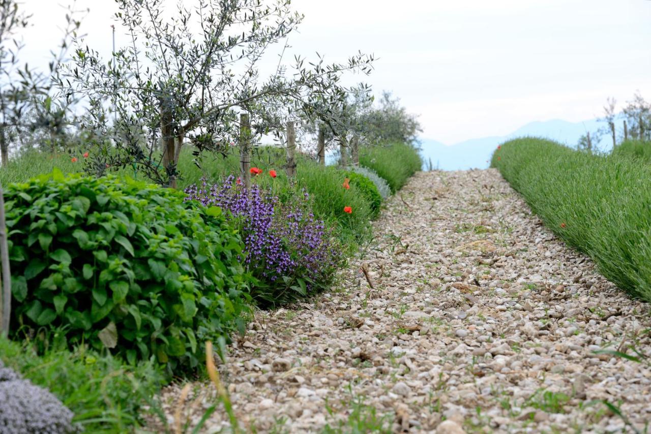 Agriturismo2Laghi ปอนติ ซุล มินโช ภายนอก รูปภาพ